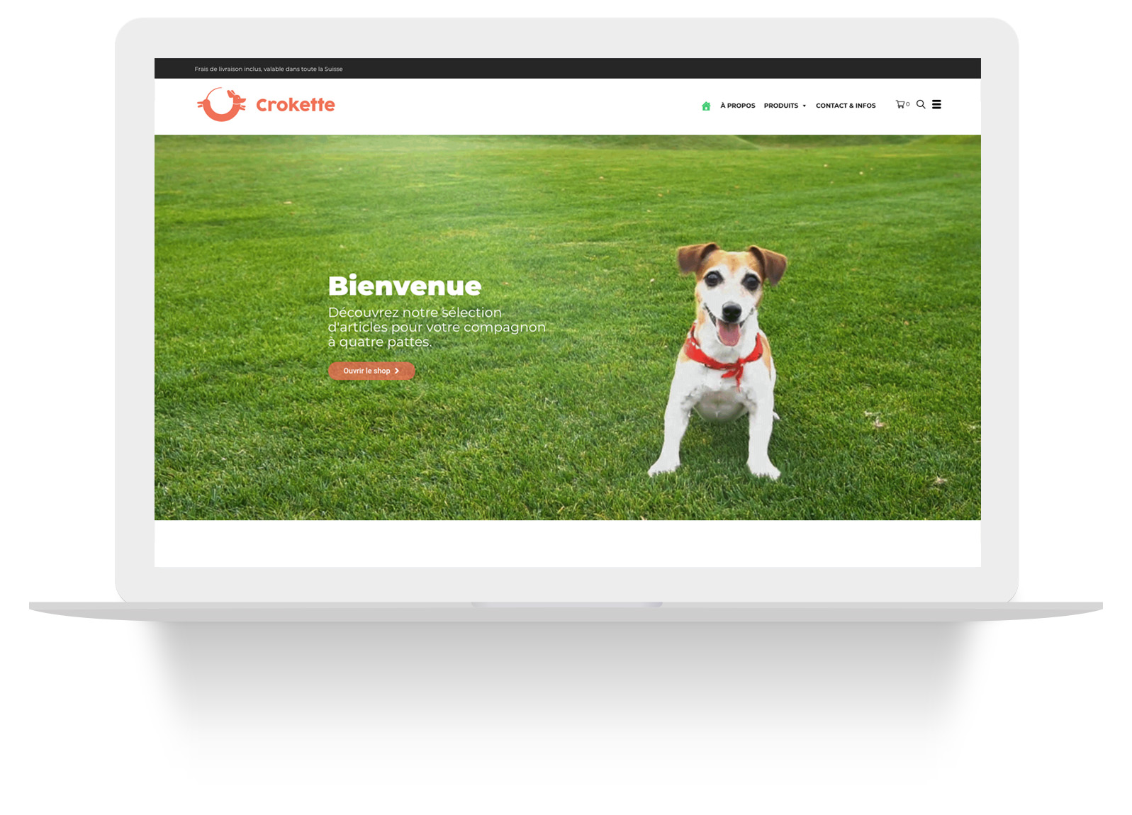Crokette — page d'accueil du site sur ordinateur